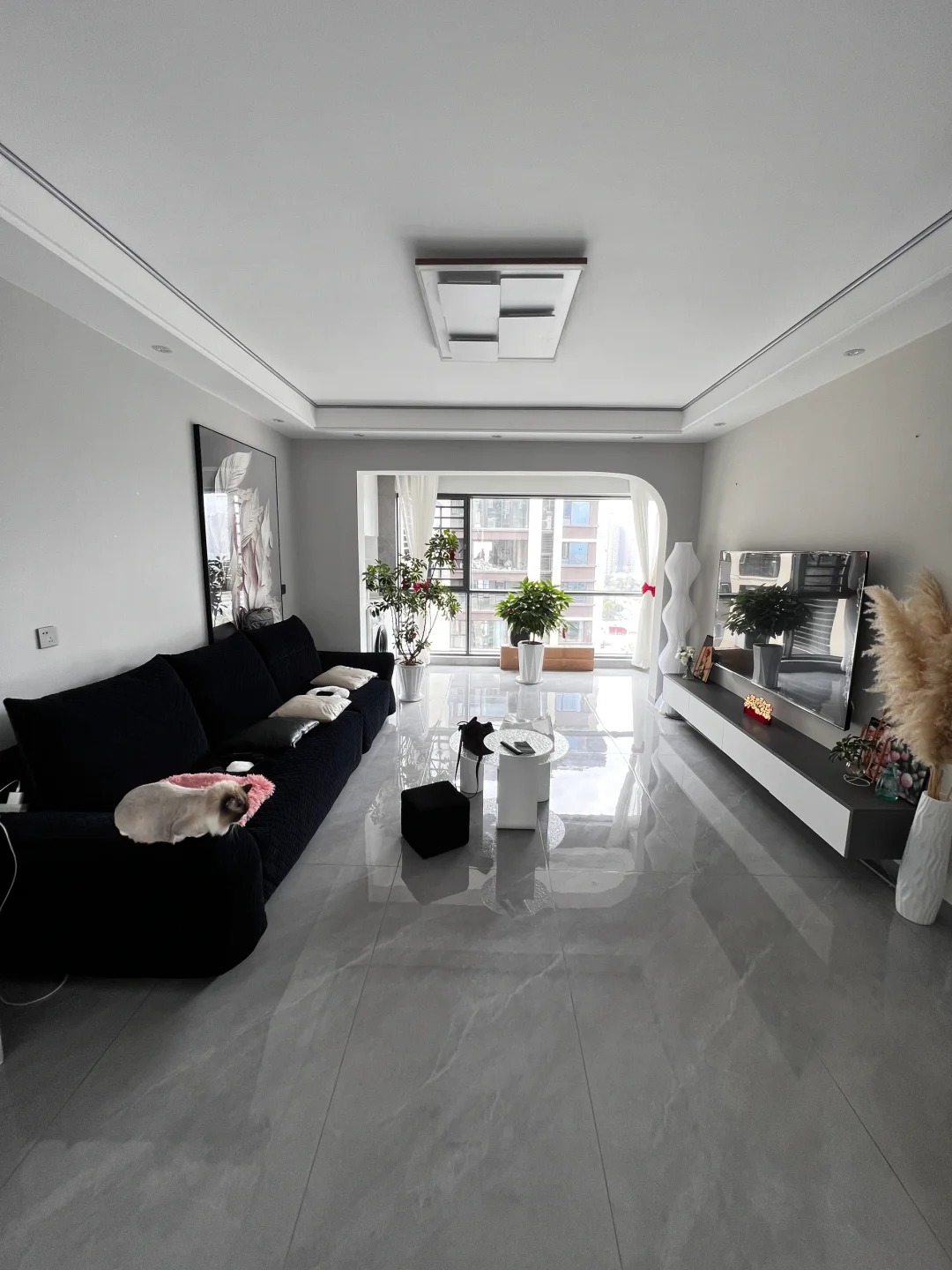 網紅翻車,室內設計